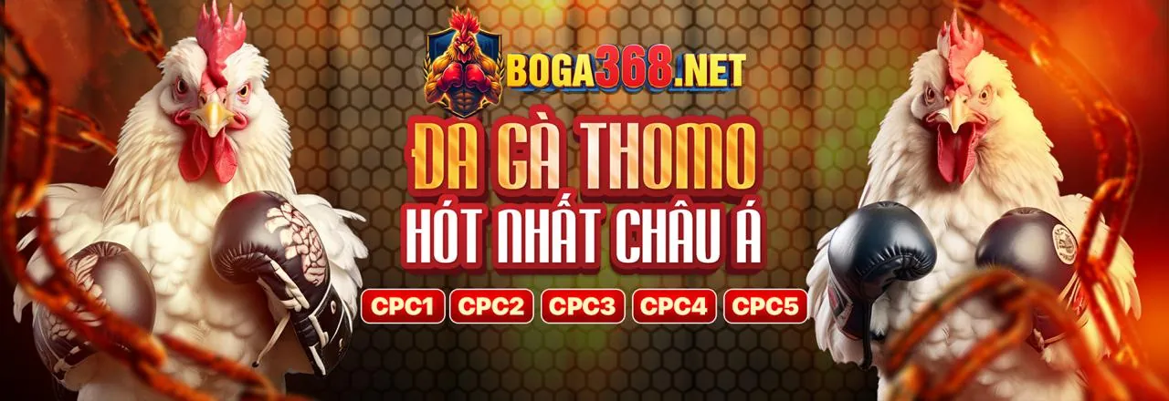 Bảo mật tối ưu